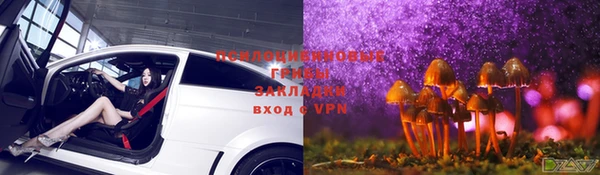 каннабис Алзамай