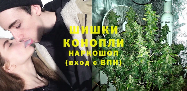 сатива Алексеевка