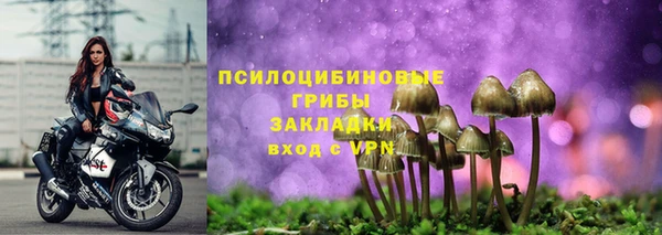 каннабис Алзамай