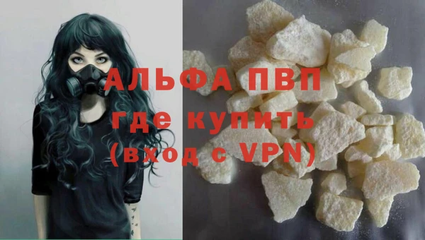 сатива Алексеевка