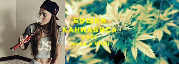 PSILOCYBIN Алексин